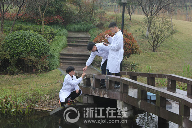 1491452650817302.jpg 1.jpg